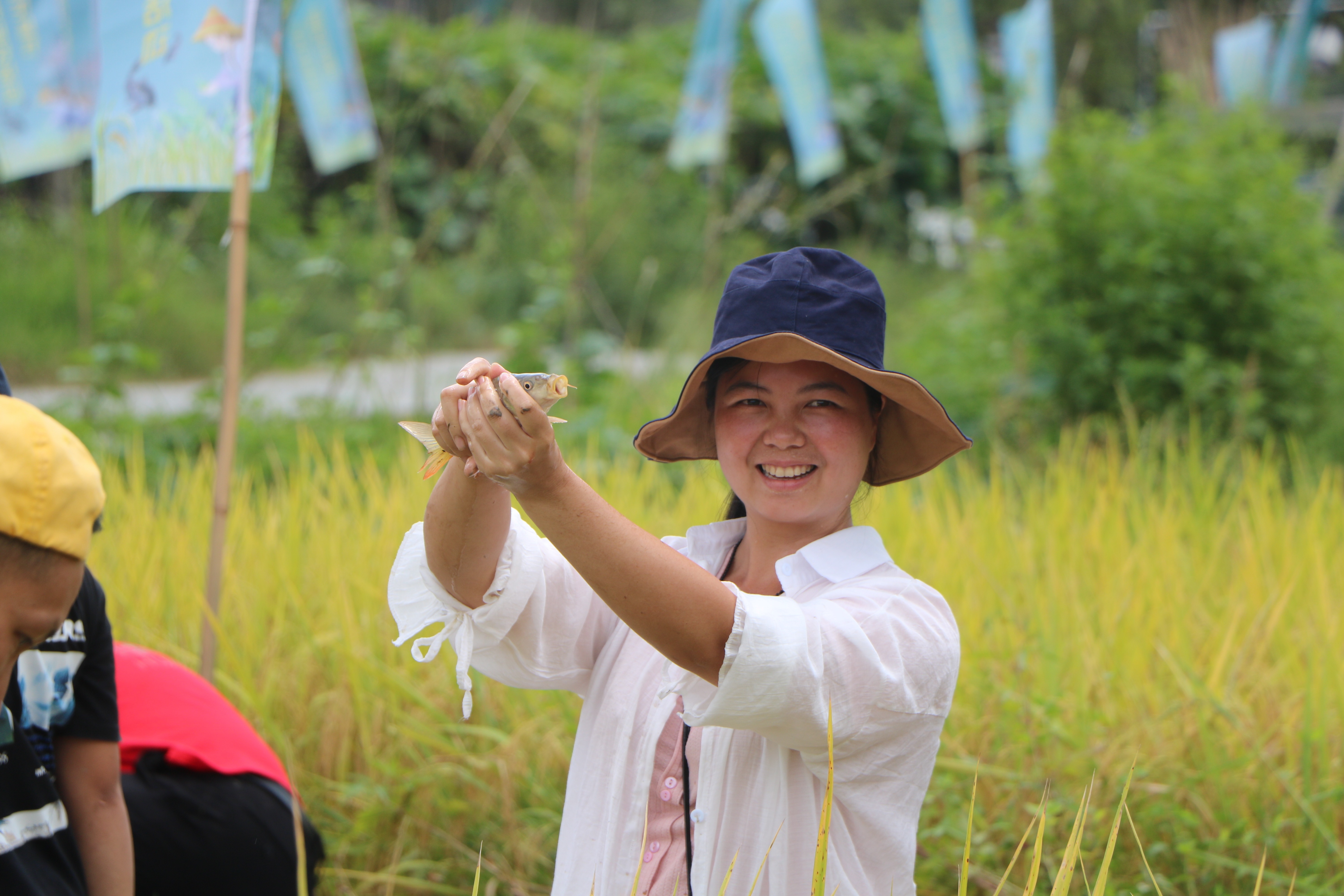 游客在禾花鱼美食文化节中体验下田捉鱼。（大桥镇人民政府供图）