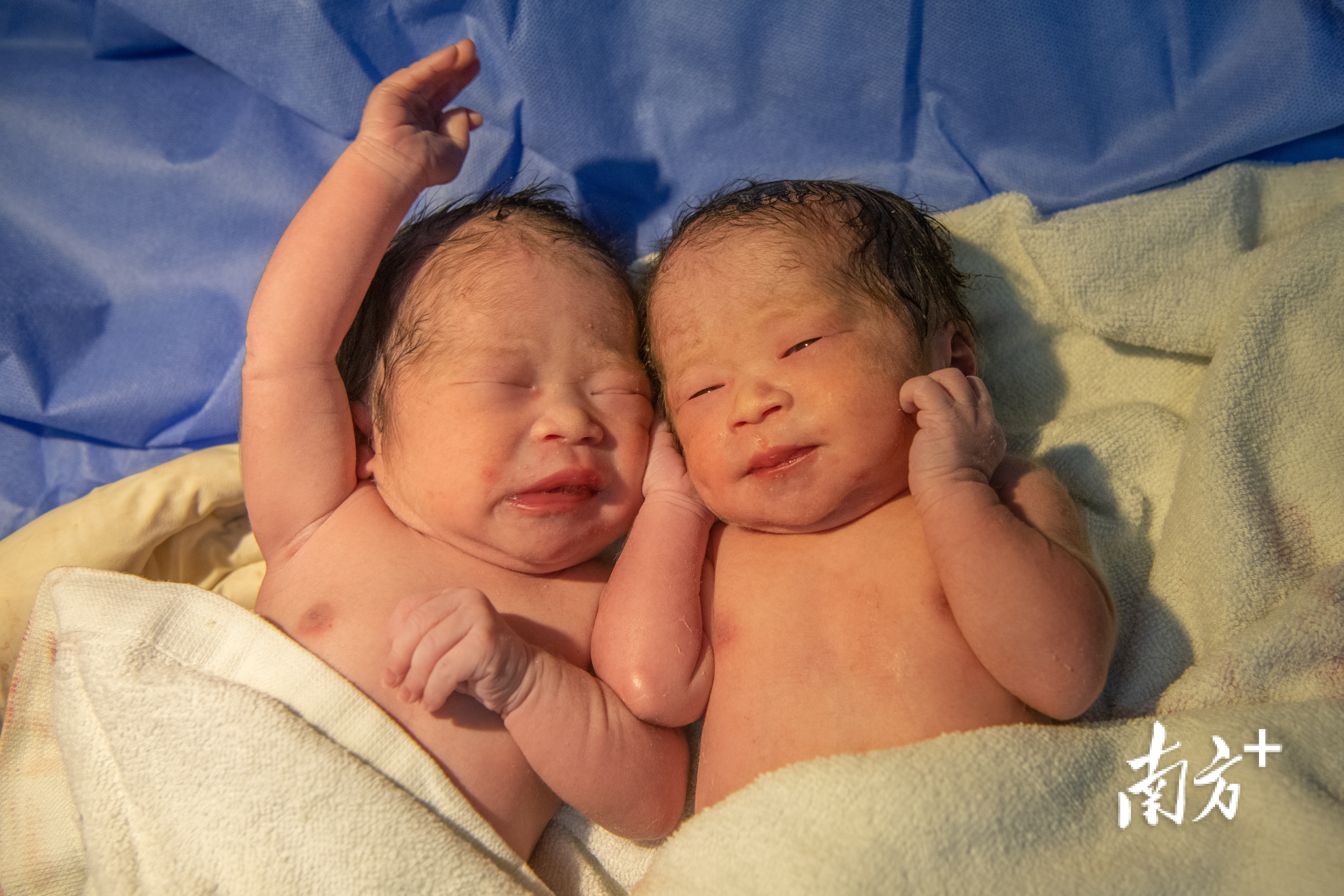 一对双胞胎顺利诞生 一对双胞胎顺利诞生