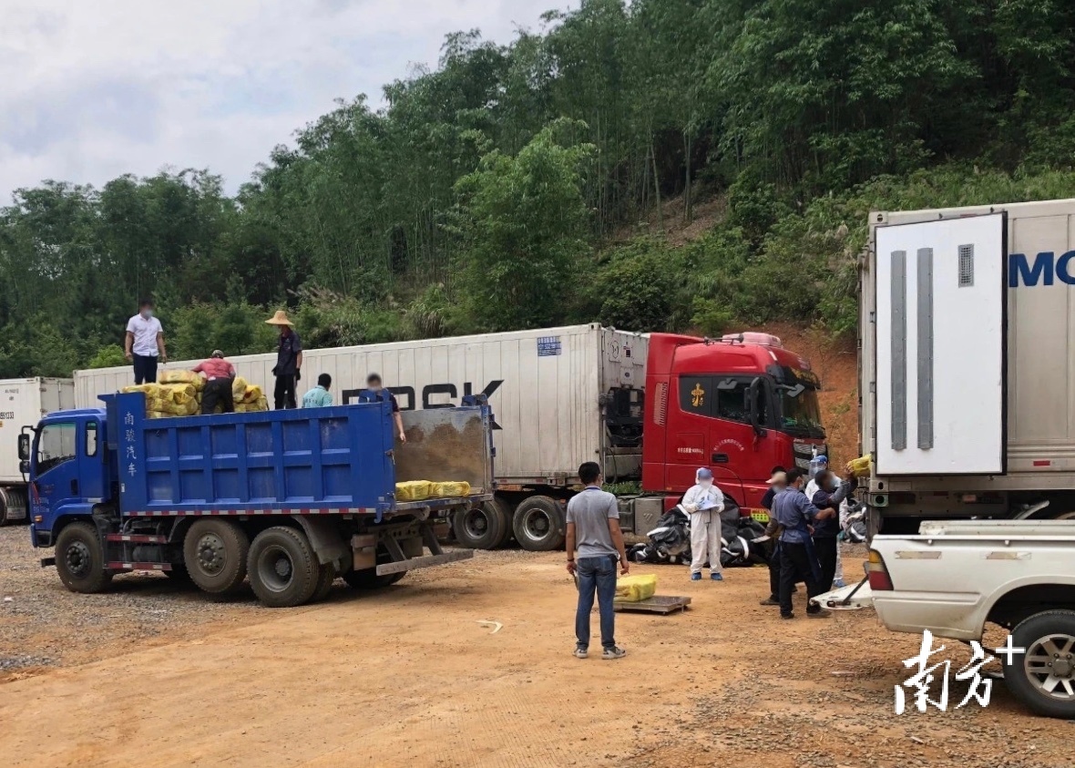 英德公安机关成功查获一批走私牛肉、牛肚等冰冻食品约54吨，涉案价值约200万元。