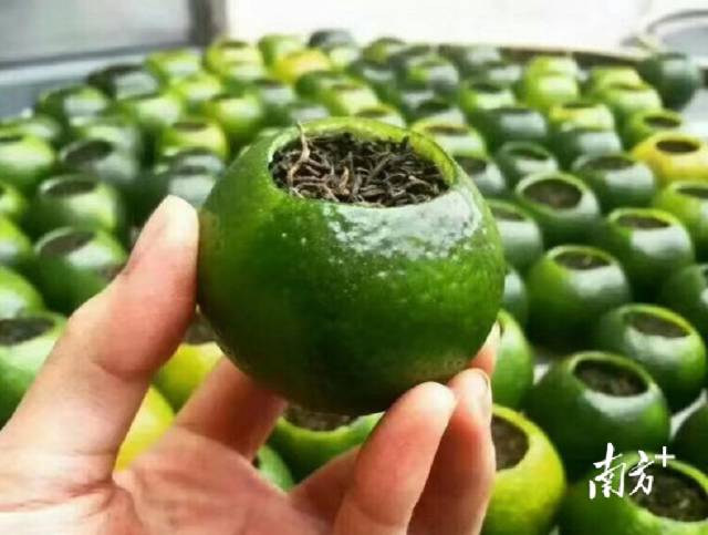 手工将普洱熟茶填入柑壳
