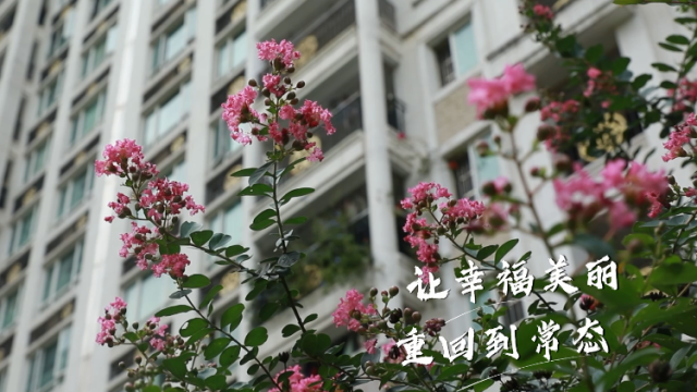 我们同在，静待花开！广州荔湾原创歌曲传递抗疫暖心力量