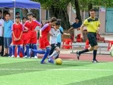 全民健康托起全面小康：电白获评“广东省健康促进区”的背后