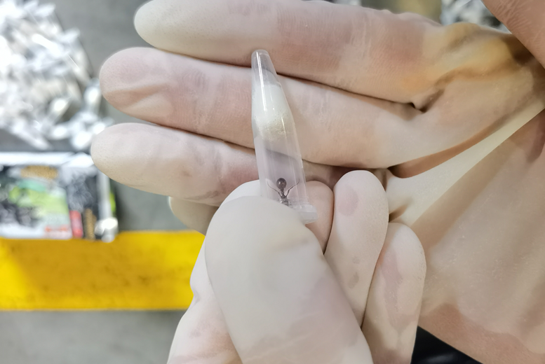 关员查获的活体蚂蚁。 关员查获的活体蚂蚁。
