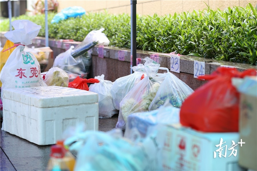 物资按照不同的单元,整齐地排列在地面上,等待志愿者配送 物资按照不同的单元,整齐地排列在地面上,等待志愿者配送