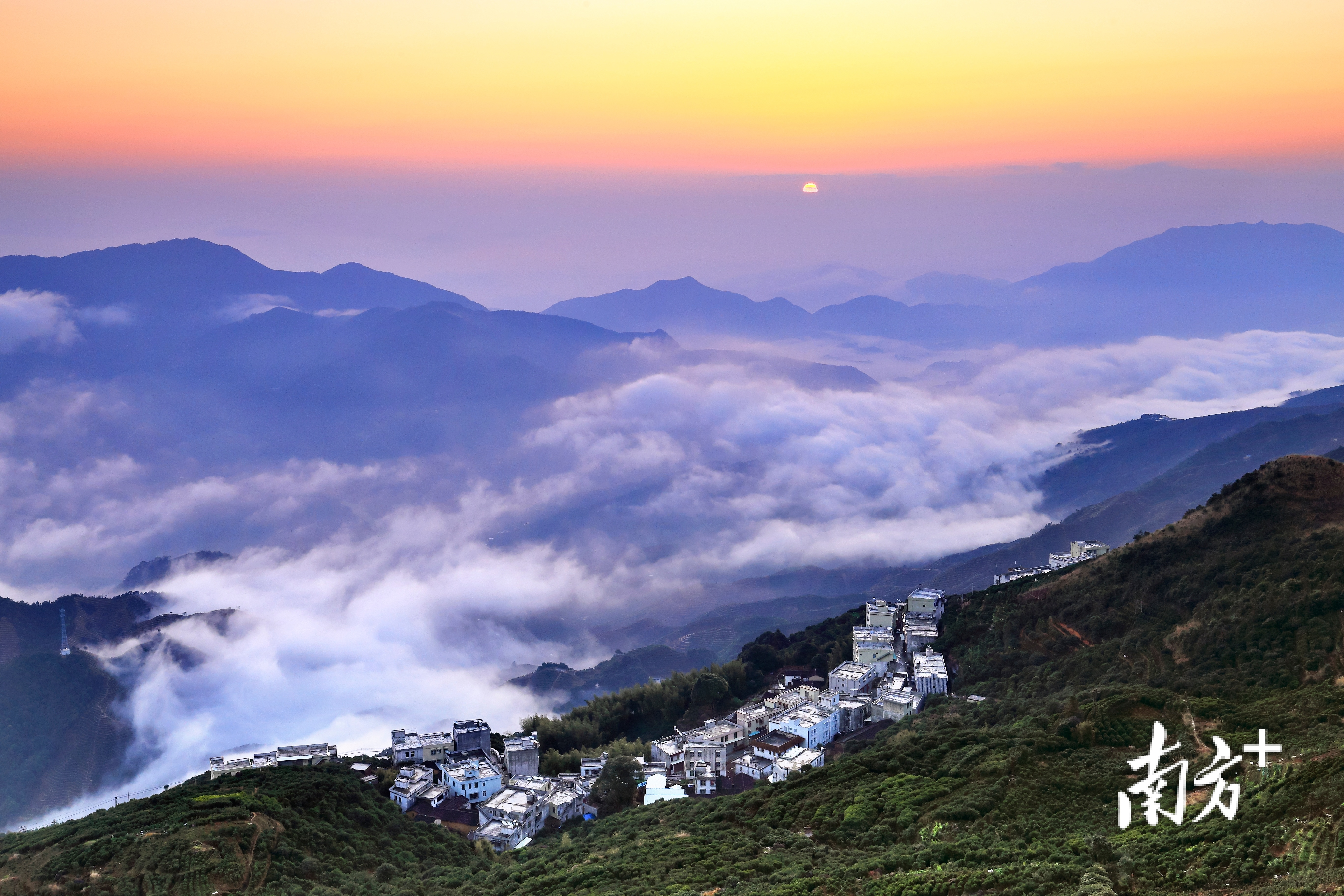 茶乡风光。陈锡荣 摄 茶乡风光。陈锡荣 摄