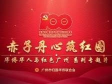 新时期，海外赤子携手追梦丨赤子丹心筑红图④