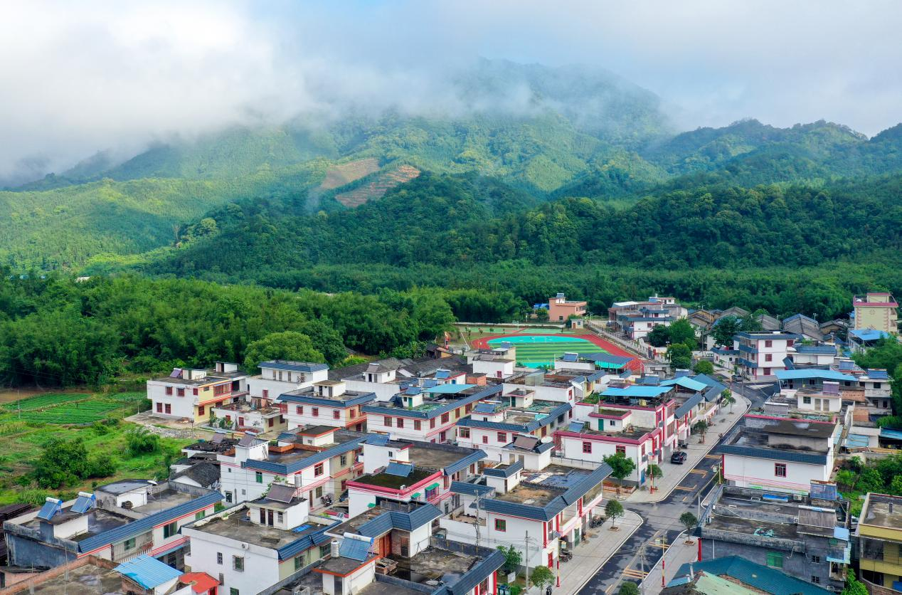 始兴13个乡村被评为2020年广东省森林乡村_南方plus_南方+