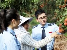 税惠给“荔”！今年广东荔枝销售额同比增长49.3%