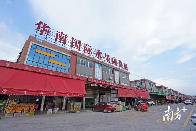 探访佛山制造业的繁荣与机遇
