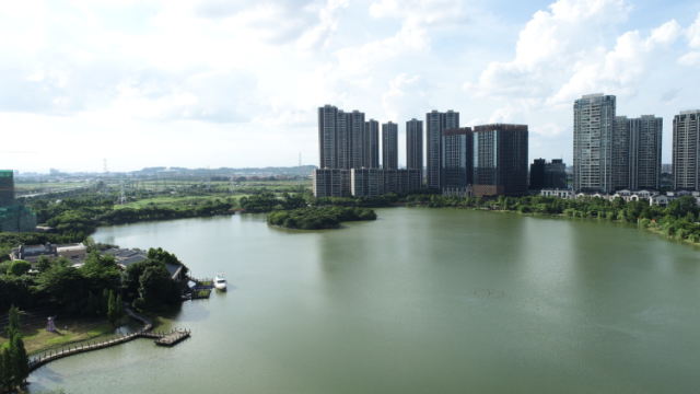 禅城南庄：建设智造高地，争当乡村振兴示范｜百年风华 佛山力量