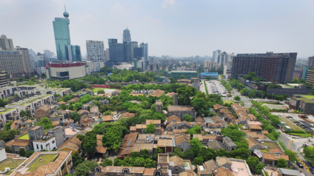 禅城祖庙：扛起佛山主城区核心区的使命担当｜百年风华 佛山力量