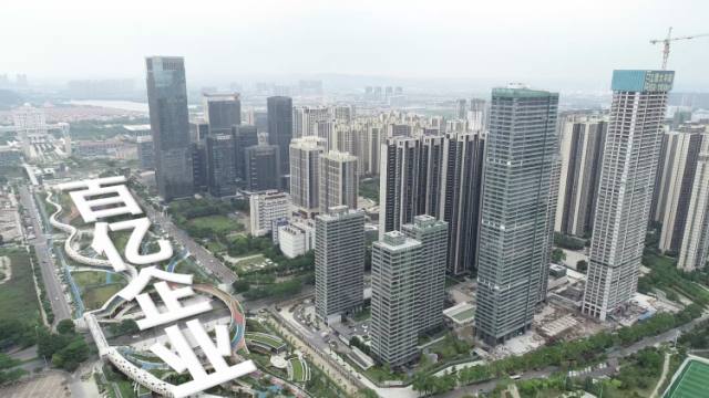 百年风华 佛山力量·百亿企