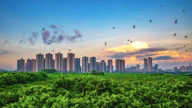 顺德伦教：以党建聚合力打造魅力宜居小城｜百年风华 佛山力量