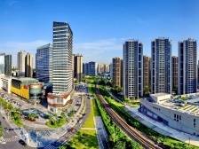 迈向农业强、农村美、农民富，三水乡村振兴让群众共享改革成果