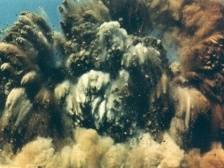 招商局历史博物馆馆长樊勇： 在蛇口迈出第一步