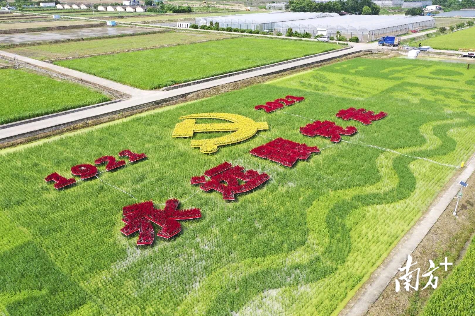 南方观察|近者悦,远者来!大鹏讲述"生态让生活更美好"的深圳故事