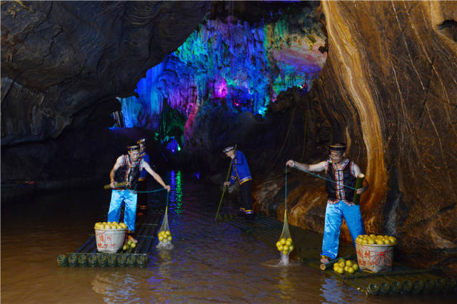 连州地下河景区将洞藏连州水晶梨免费供游客品尝。