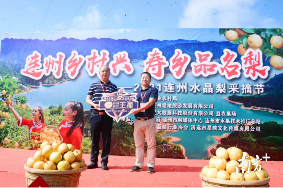 连州市农业农村局局长谢凯华向乡村助农主播代表授予荣誉“唛标”。黄津 摄