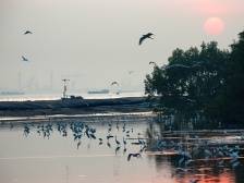 小乡村变景点、新产业沿河起，广东生态环境改善带来新机