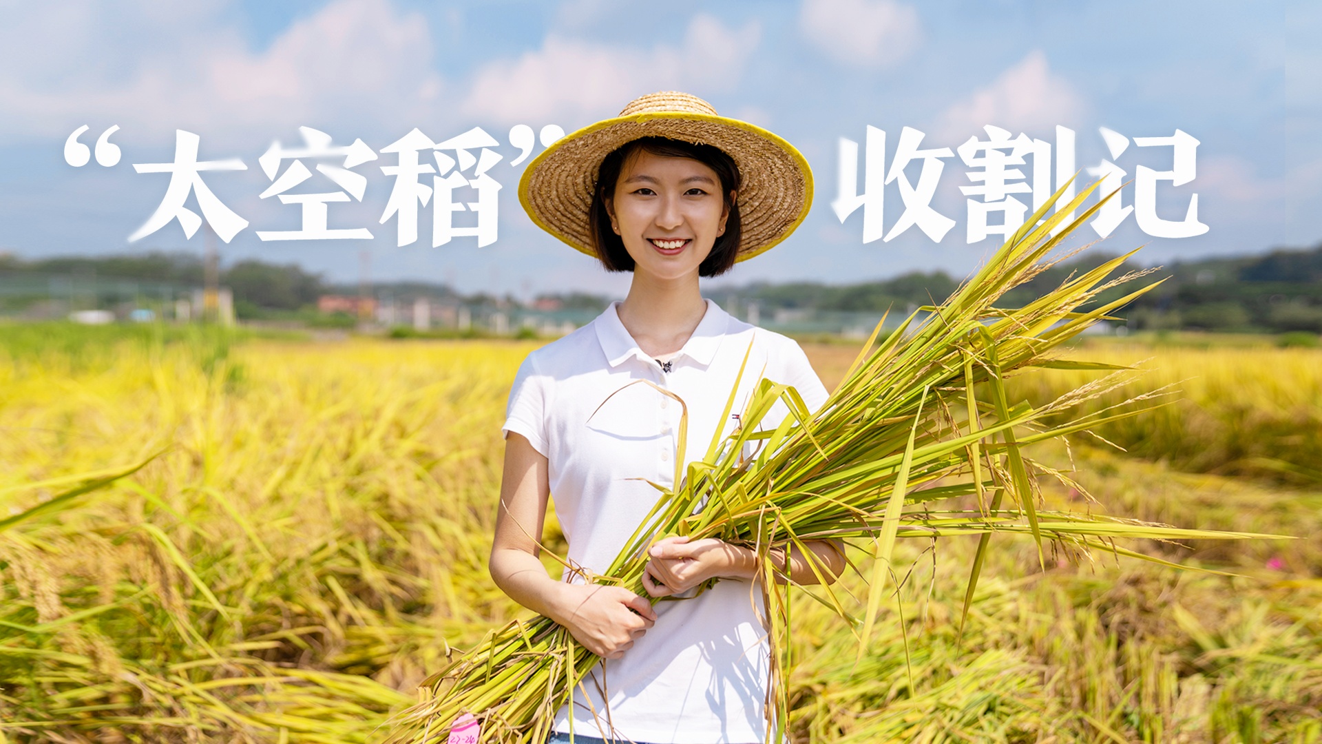"太空稻"收割记 | 同纬度