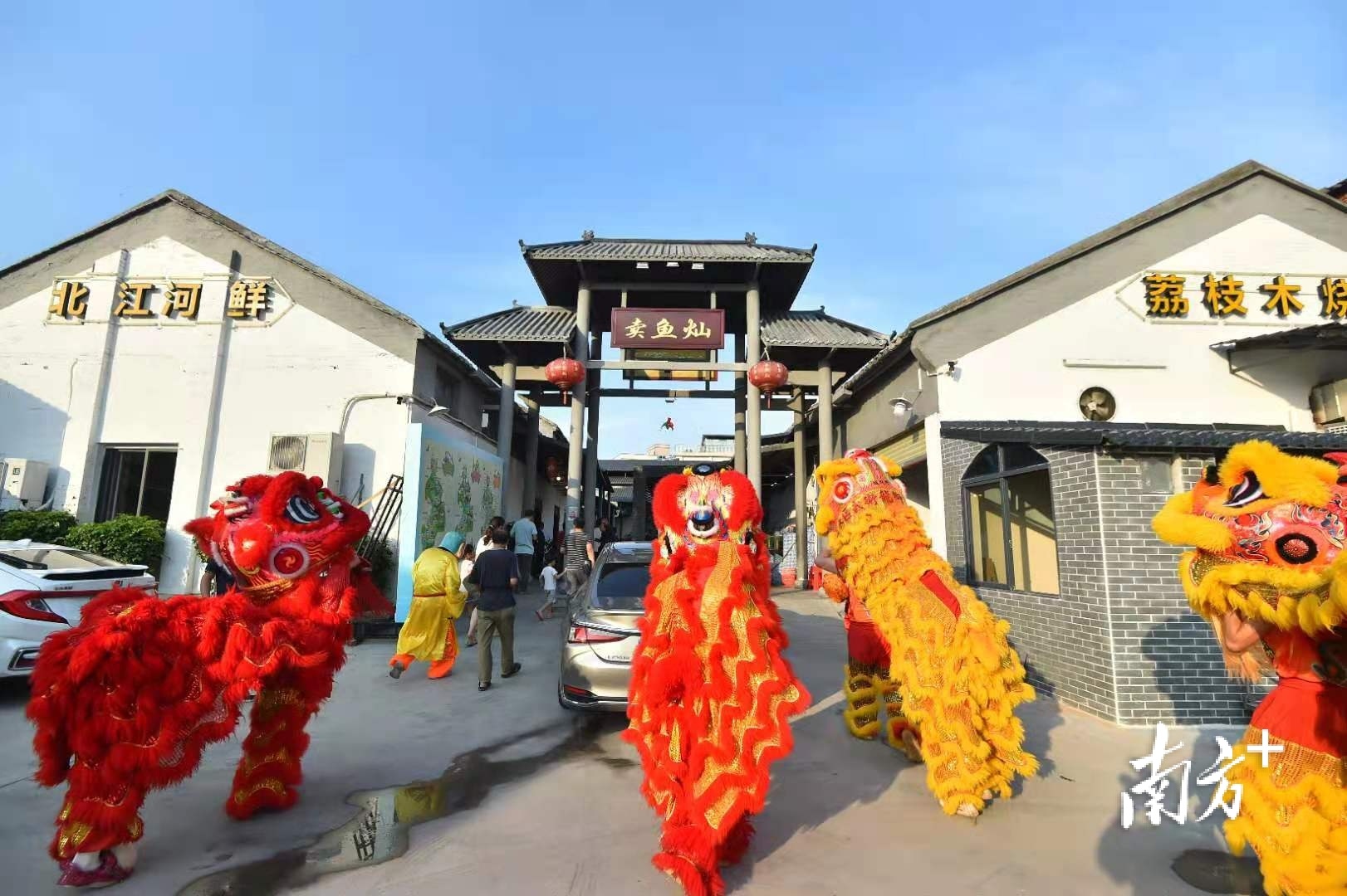 在现场醒狮的引领下,八方游客纷纷走进芦苞河鲜美食街的各个店家,边品尝河鲜美食,边欣赏江风美景。