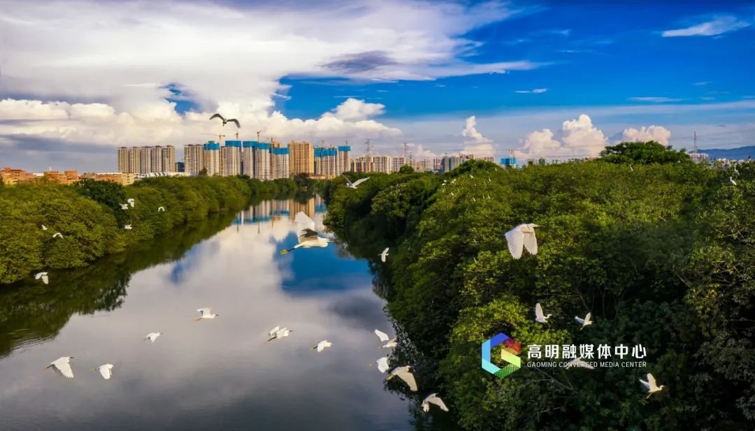 秀丽生态好。谭杰才摄 秀丽生态好。谭杰才摄