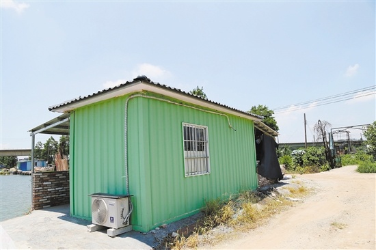 田间窝棚"变形记":高新区(江海区)整治田间看护房
