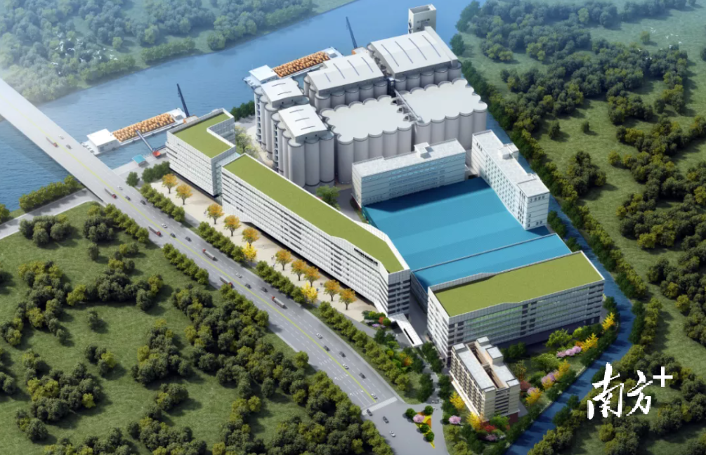 穗丰面粉项目效果图