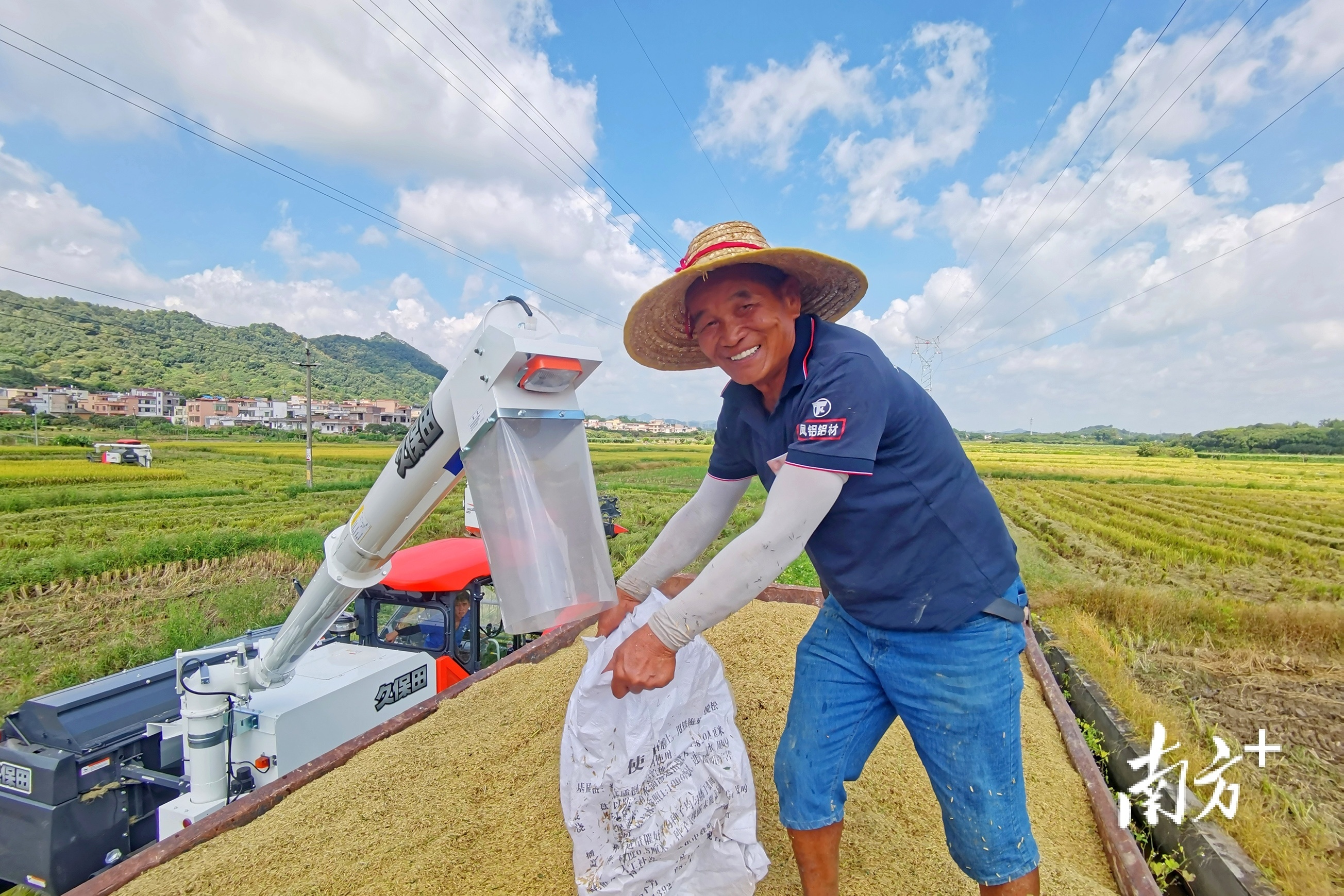 广州从化区迎来夏粮大丰收