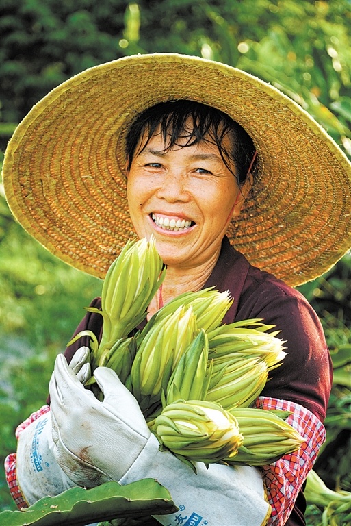 捧着霸王花,工人笑开怀.