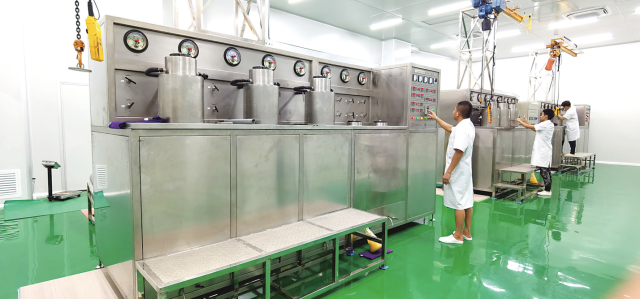 沉香种植全指南:从白木香树苗到结香增收,打造生态与康养兼备的绿色产业