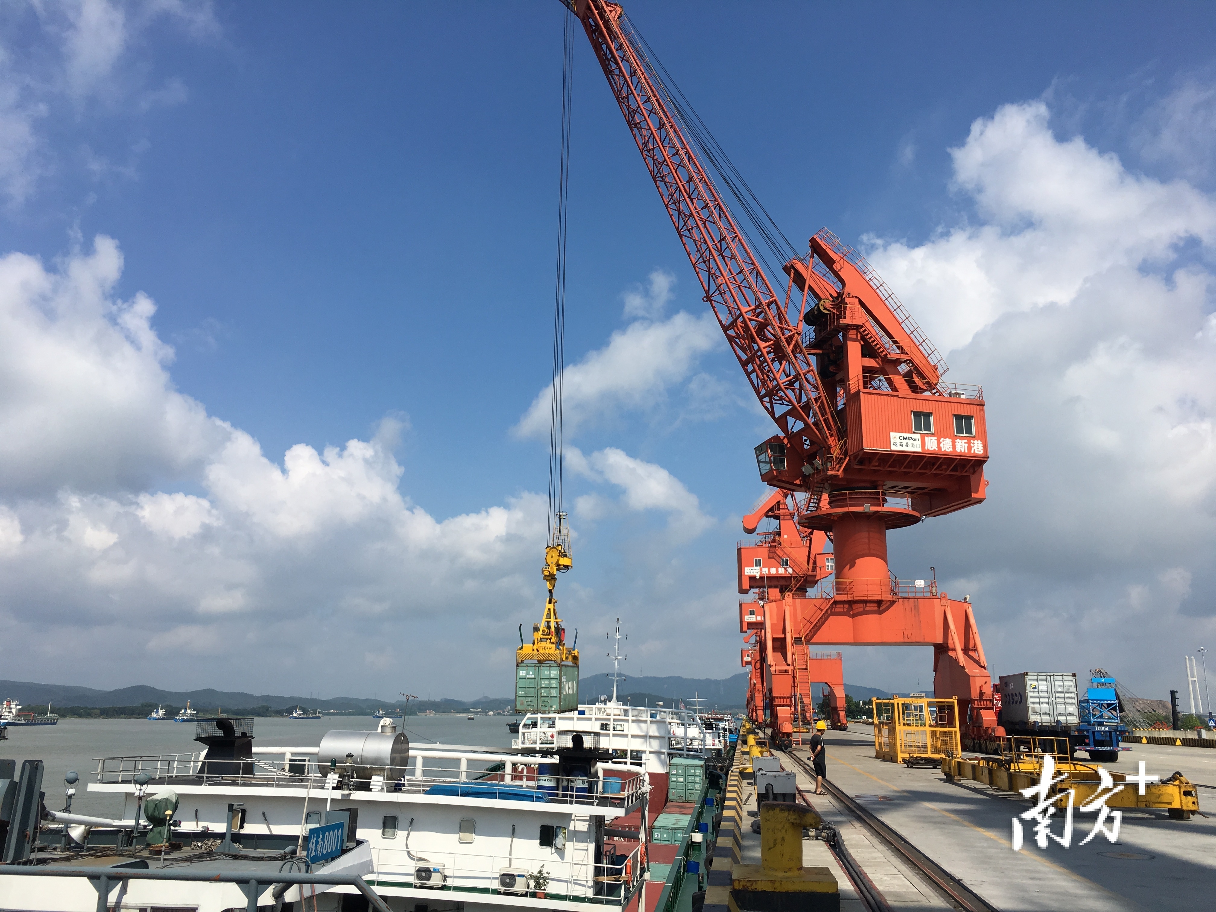 顺德新港。通讯员供图