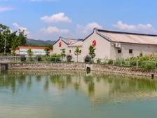 走进潮阳桥陈村，探寻红色村的振兴路径