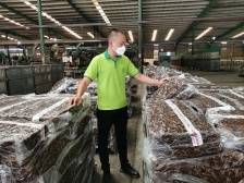 橡胶林里，有三代人的“小康梦”|小家看小康