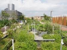 走近东莞福彩公益|社区建起了综合服务中心，居民满满幸福感