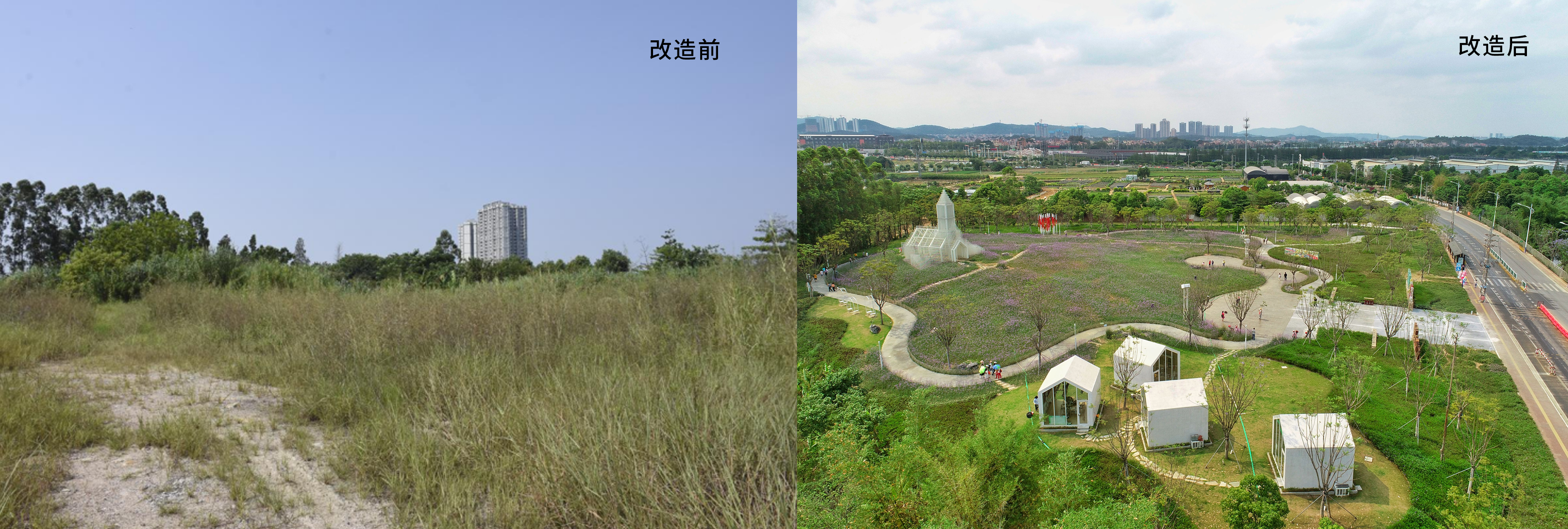 改造前后的鲁岗村爱情公园。左图由受访者提供，右图为南方日报记者戴嘉信摄