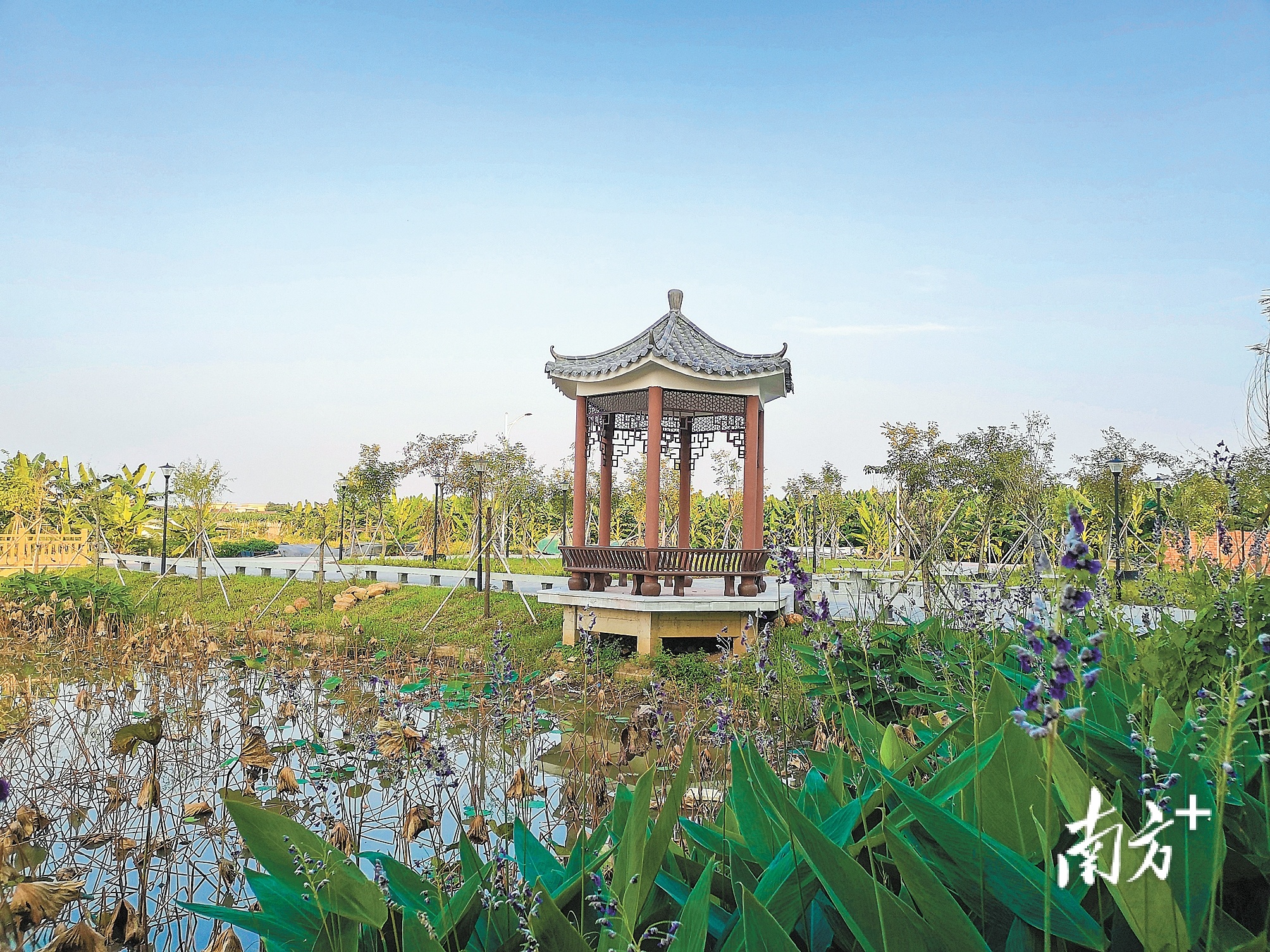 南沙:发展"美丽经济" 文化赋能未来_南方plus_南方 
