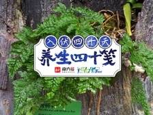 养生四十笺 | 骨碎补yyds！跌打损伤、肾虚牙痛都能用