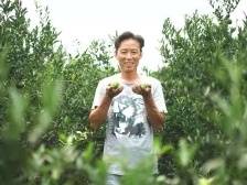 农户“以柑圆梦” 同“柑”共奔小康｜小家看小康