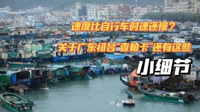 +点知识 | 移动速度比自行车时速还慢？关于广东初台“查帕卡”，还有这些小细节……