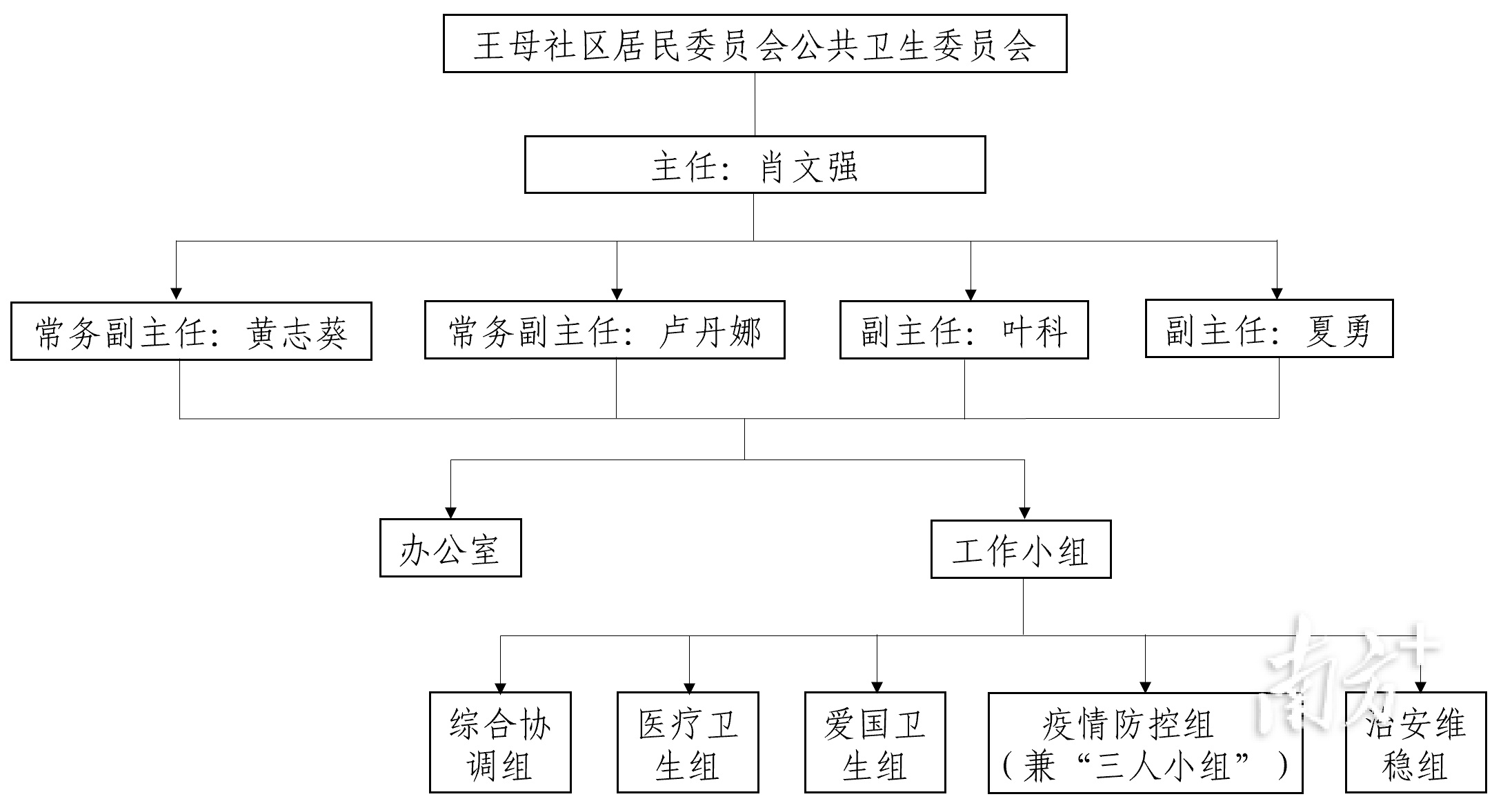 王母社区公卫委组织架构图