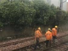 亲历者自述：Z236的郑州一夜