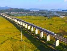 惠州融湾入圈故事①|一条轨道交通为深惠同城化插上“翅膀”