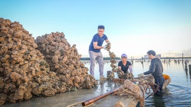 90后硬壳青年与他蚝壳上的湛江