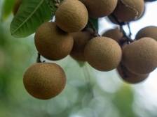 一文速览《南方日报·高州视窗》第21期