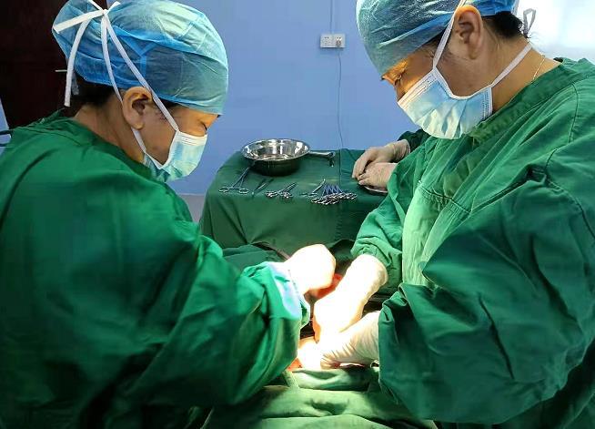 医疗帮扶见实效！曲江大塘镇中心卫生院首个“医共体宝宝”诞生