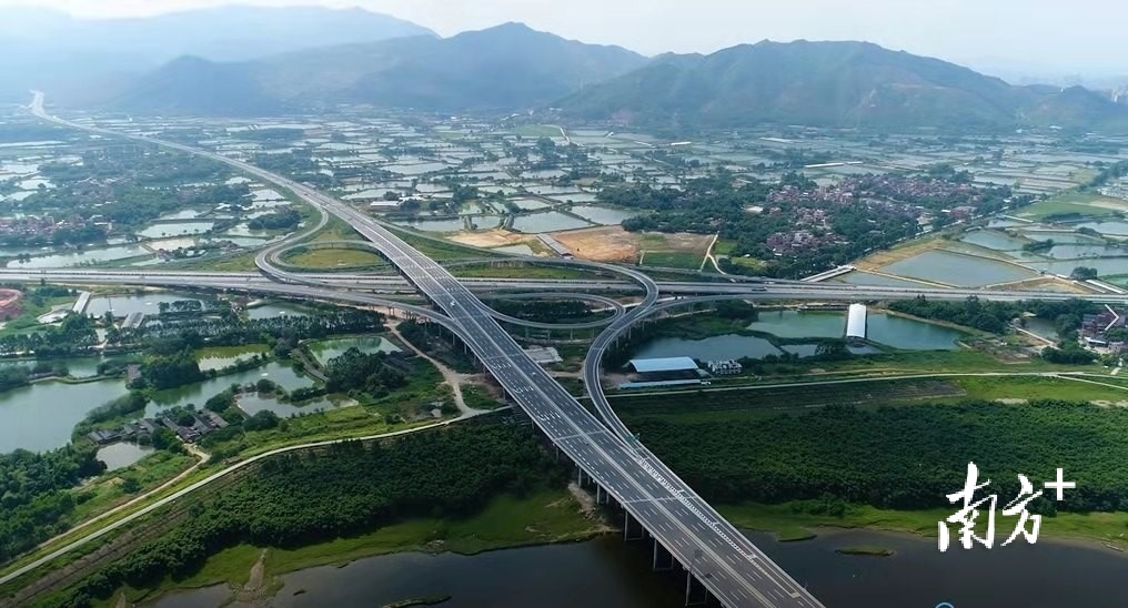 大沙镇养殖鱼塘片区 大沙镇养殖鱼塘片区