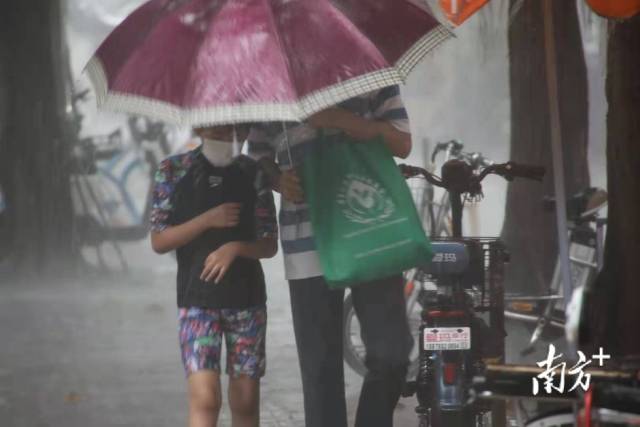 海珠区新港西路突降大雨，给酷热的广州浇了个澡。