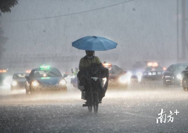  7月28日，暴雨叠加晚高峰，广州大道中的市民在雨中前行。