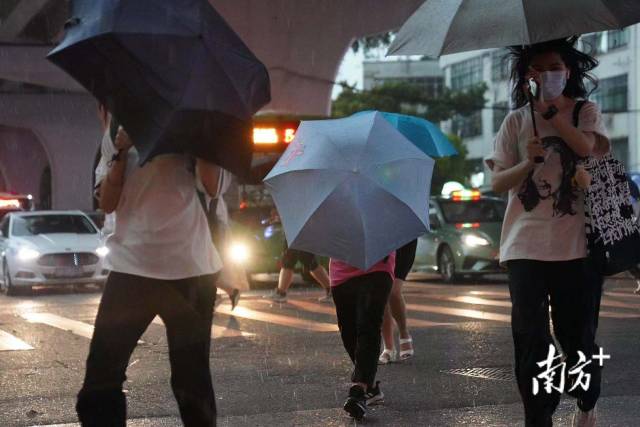  7月28日下午5点半，东晓南路刮起大风，雷雨交加中行人持伞快速前行。